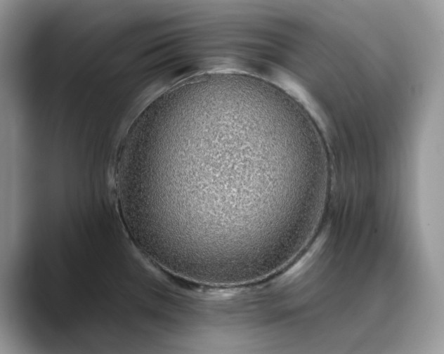 X0000089661385200707051522