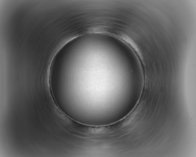X0000089661386200707051522