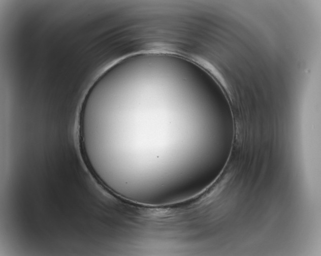 X0000089661387200707051522