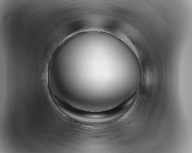 X0000089661388200707051522
