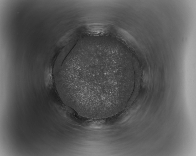 X0000089661394200707051521
