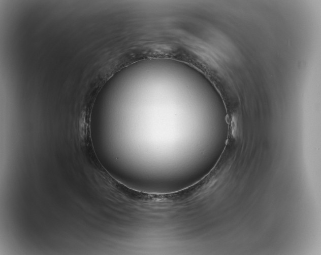 X0000089661395200707051521