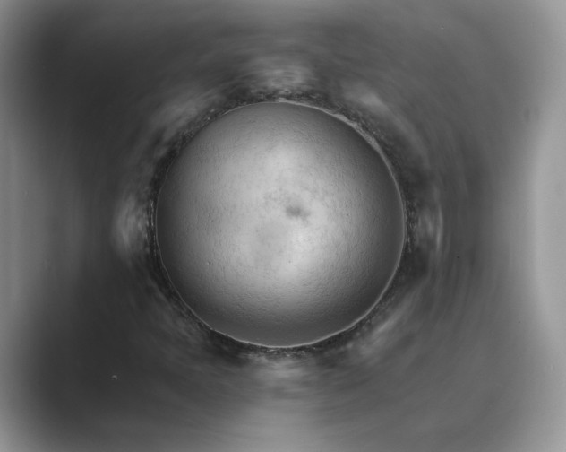 X0000089661397200707051521