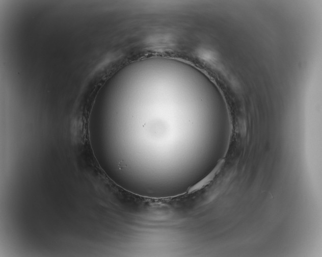 X0000089661398200707051521