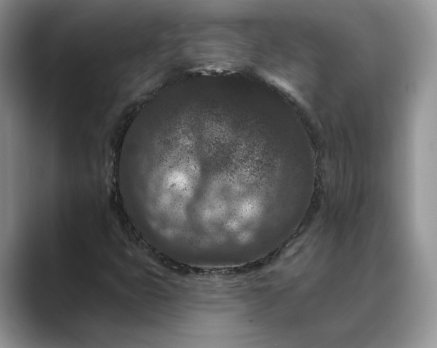 X0000089661399200707051521