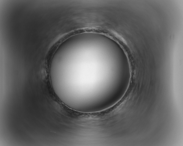X0000089661400200707051521