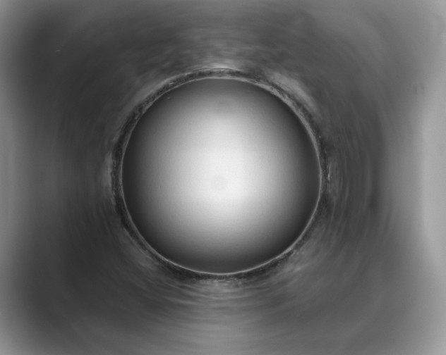 X0000089661404200707051521