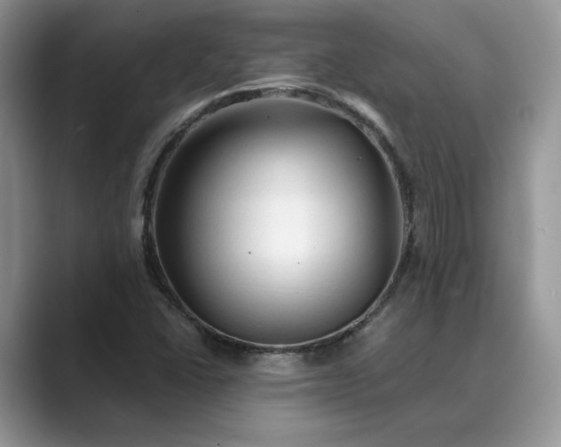 X0000089661406200707051521