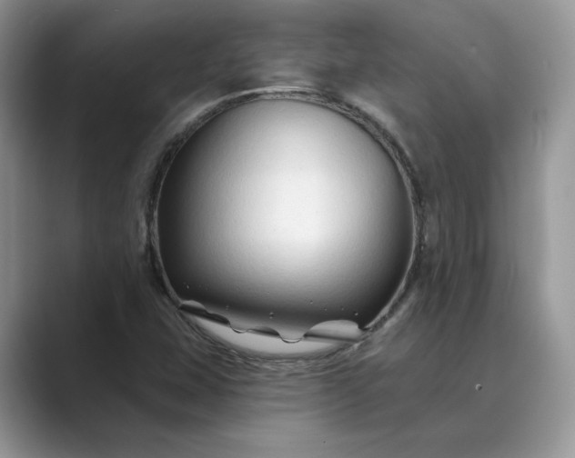 X0000089661407200707051521