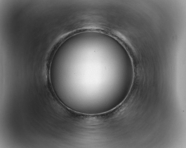 X0000089661408200707051521