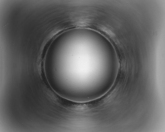 X0000089661410200707051521