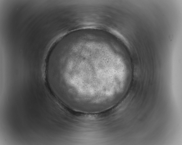 X0000089661411200707051521