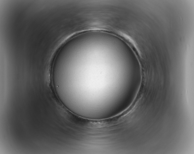X0000089661415200707051521