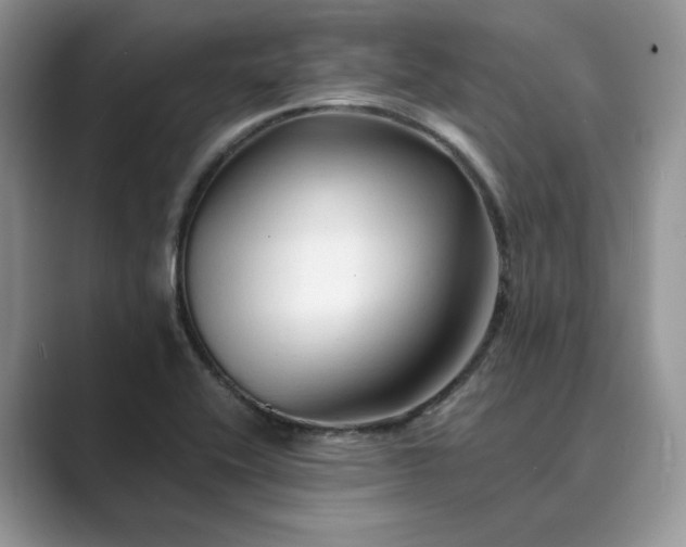 X0000089661416200707051521