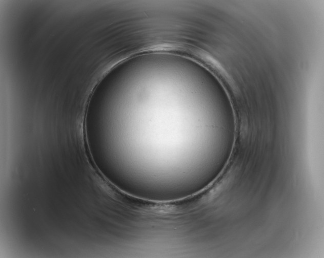 X0000089661417200707051521