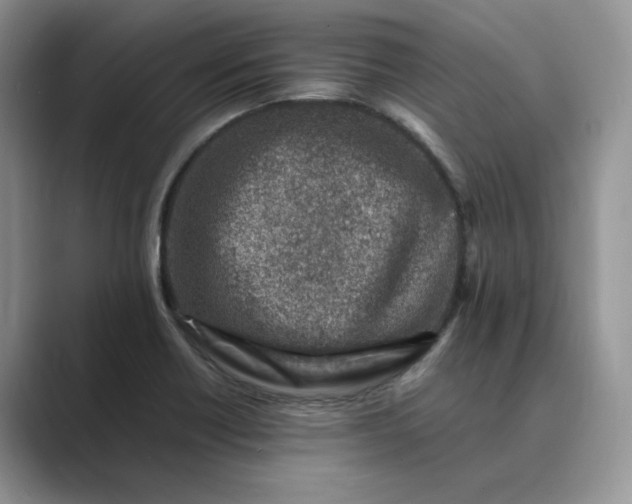 X0000089661418200707051521