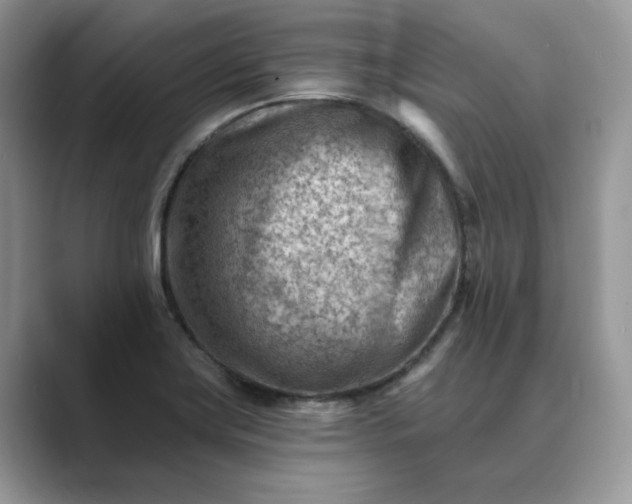 X0000089661419200707051521