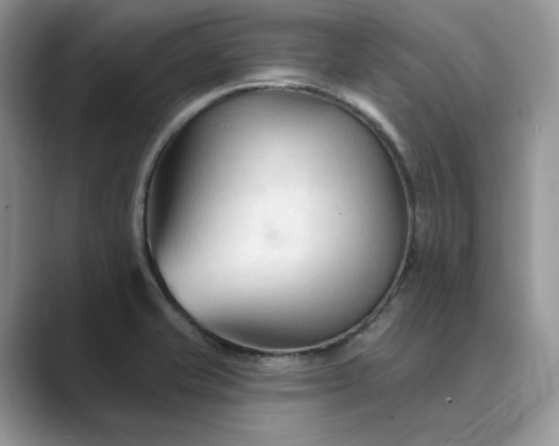 X0000089661421200707051521