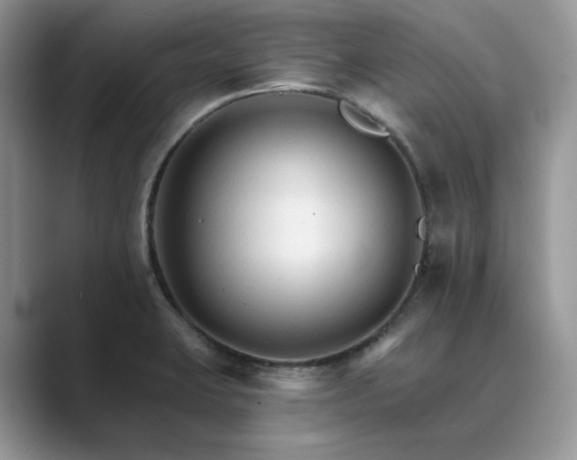X0000089661423200707051521