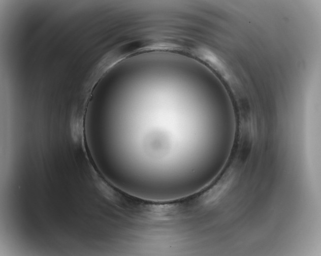 X0000089661425200707051521