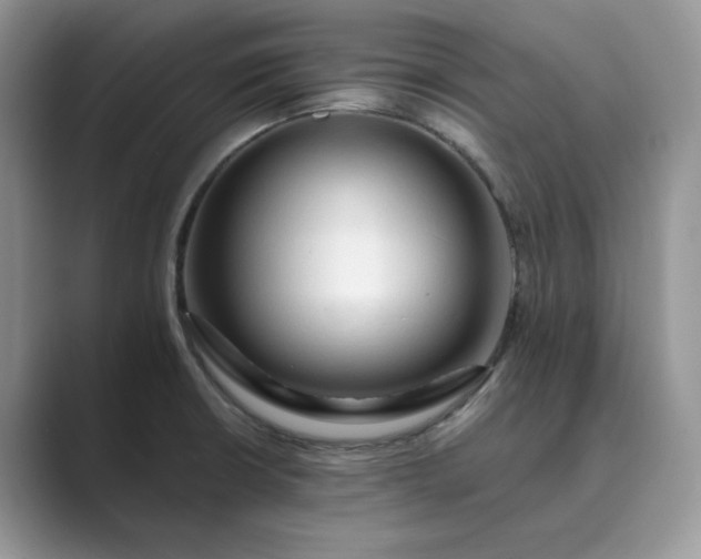 X0000089661426200707051521