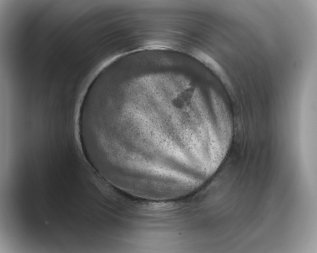 X0000089661427200707051521