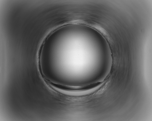 X0000089661430200707051521