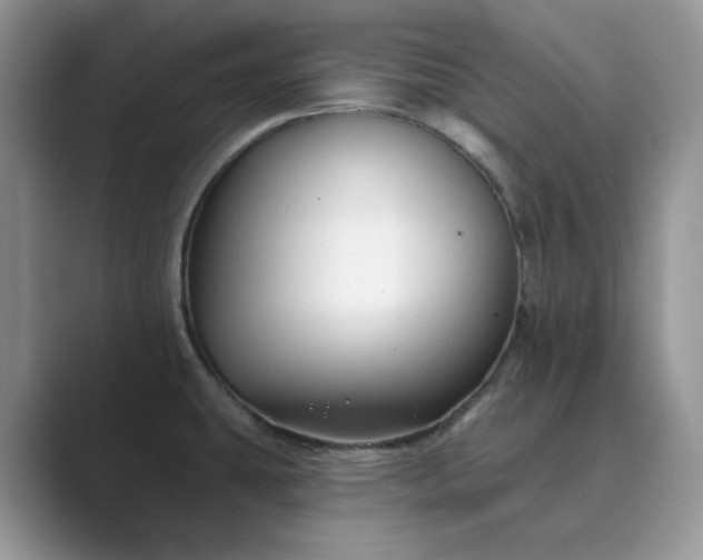 X0000089661431200707051521