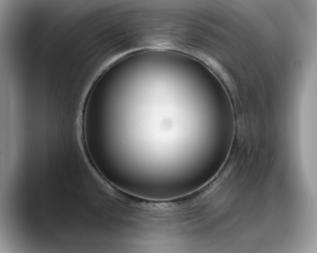 X0000089661432200707051521