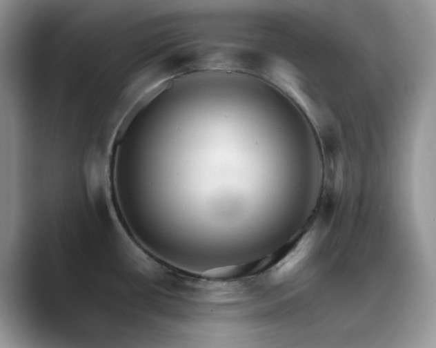 X0000089661434200707051521