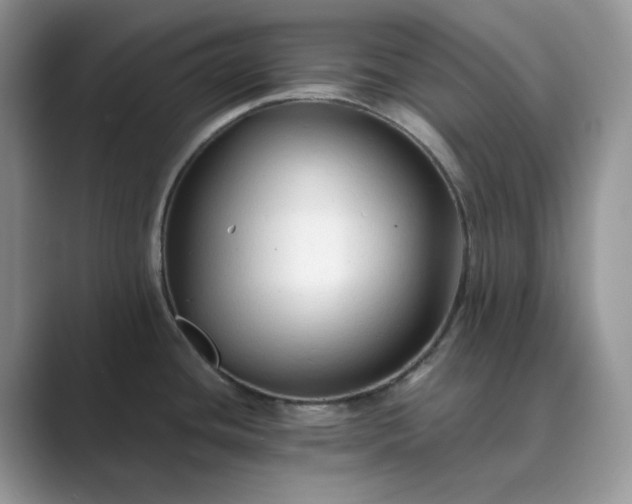 X0000089661436200707051521