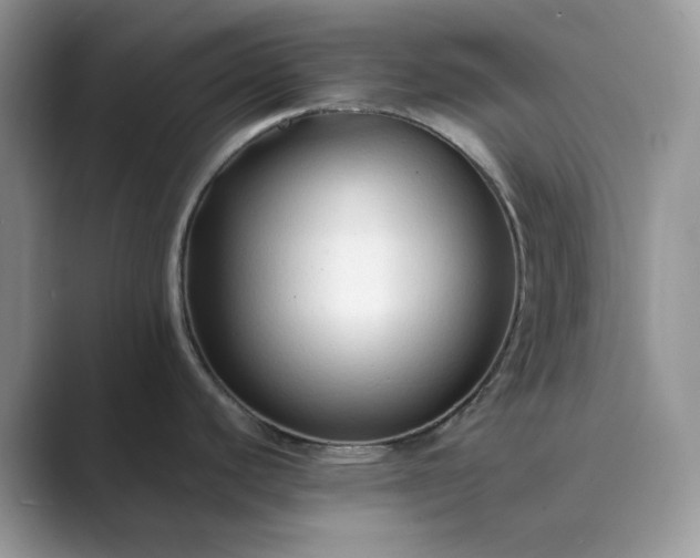 X0000089661440200707051522