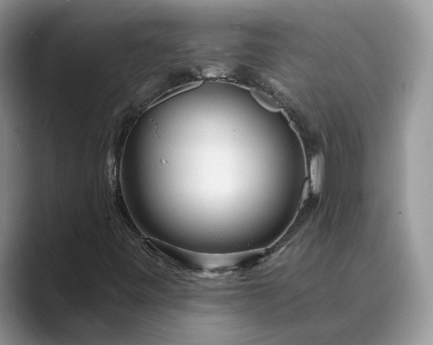 X0000089661443200707051521