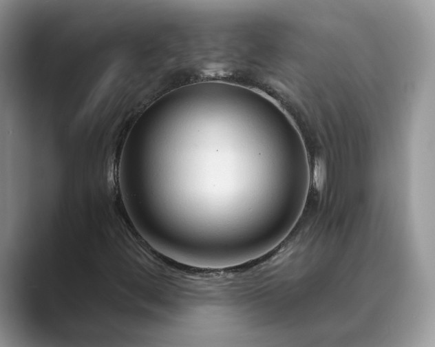 X0000089661444200707051521