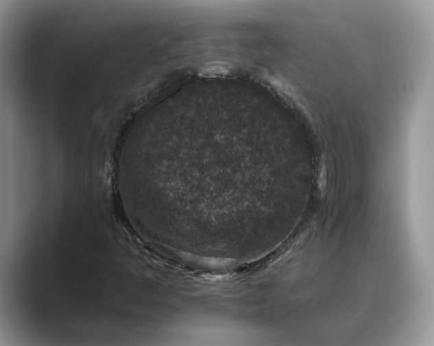 X0000089661445200707051521