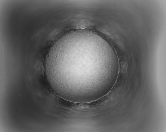 X0000089661446200707051521