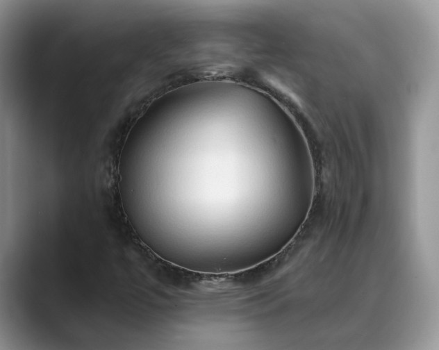 X0000089661447200707051521