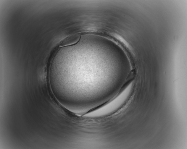 X0000089661450200707051521