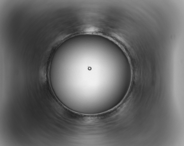 X0000089661451200707051521