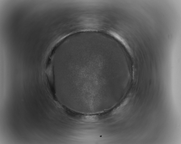 X0000089661453200707051521