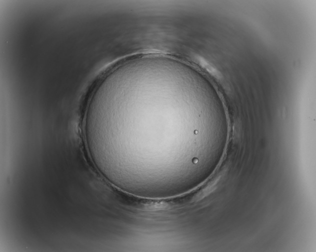 X0000089661454200707051521