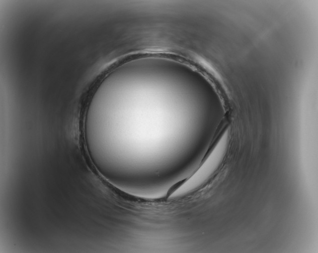 X0000089661456200707051521
