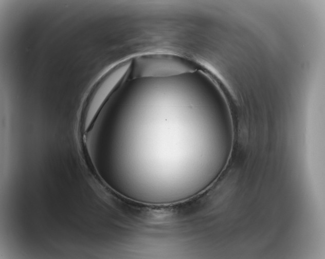 X0000089661460200707051521