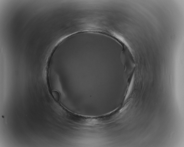 X0000089661463200707051521
