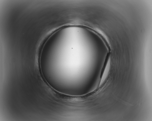 X0000089661464200707051521