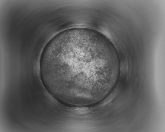 X0000089661466200707051521