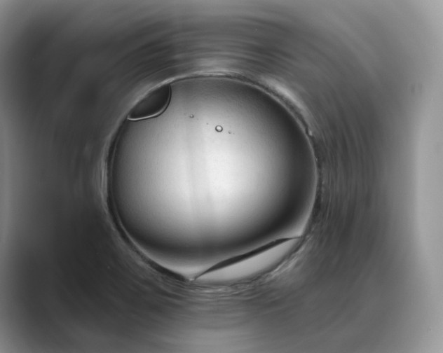 X0000089661467200707051521