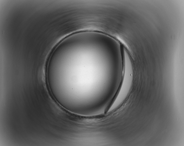 X0000089661468200707051521