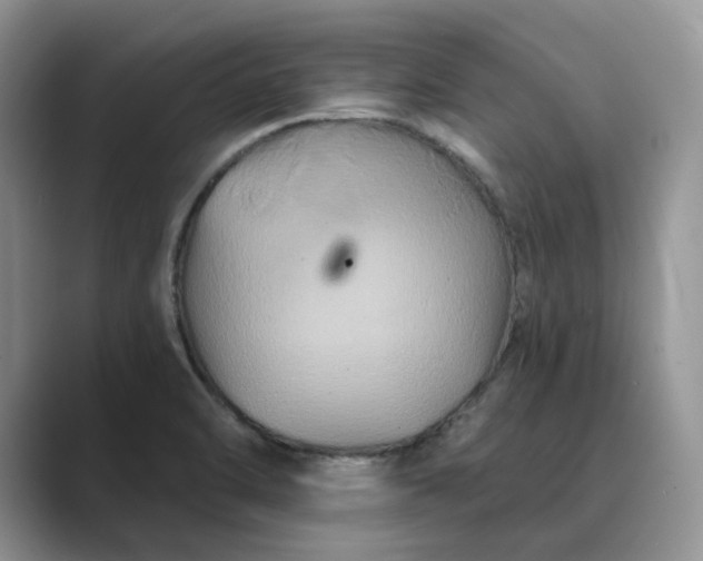 X0000089661470200707051521
