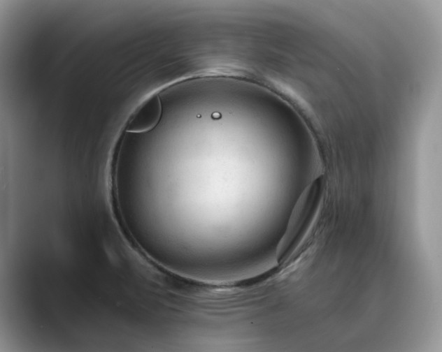 X0000089661471200707051521